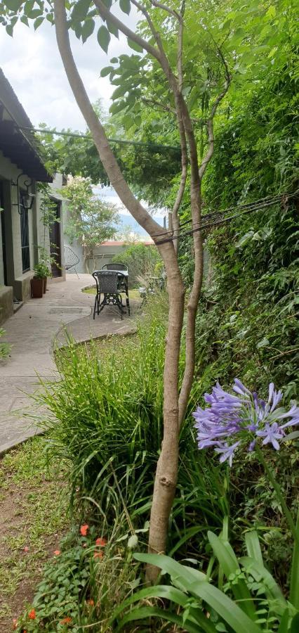 Los Tarcos Guest House San Salvador de Jujuy Esterno foto